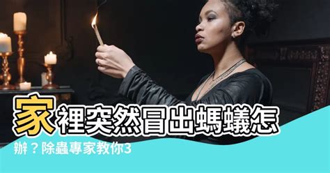 突然出現螞蟻|家裡突然冒出很多小螞蟻怎麼辦？滅蟲專家教3招徹底。